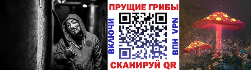 kraken ONION  хочу   Шагонар  Галлюциногенные грибы Psilocybe 